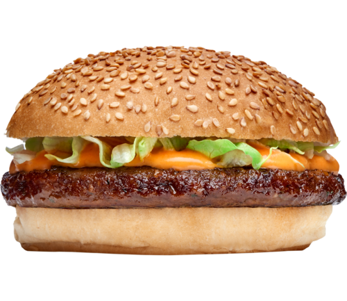 FEBO grillburger met vlees